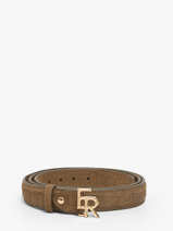 Belt Equestre Croco Etrier Gray equestre croco EECQ414C