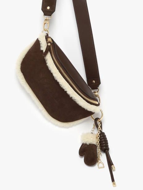 Belt Bag Alpin Leather Etrier Brown alpin EALP022M other view 2